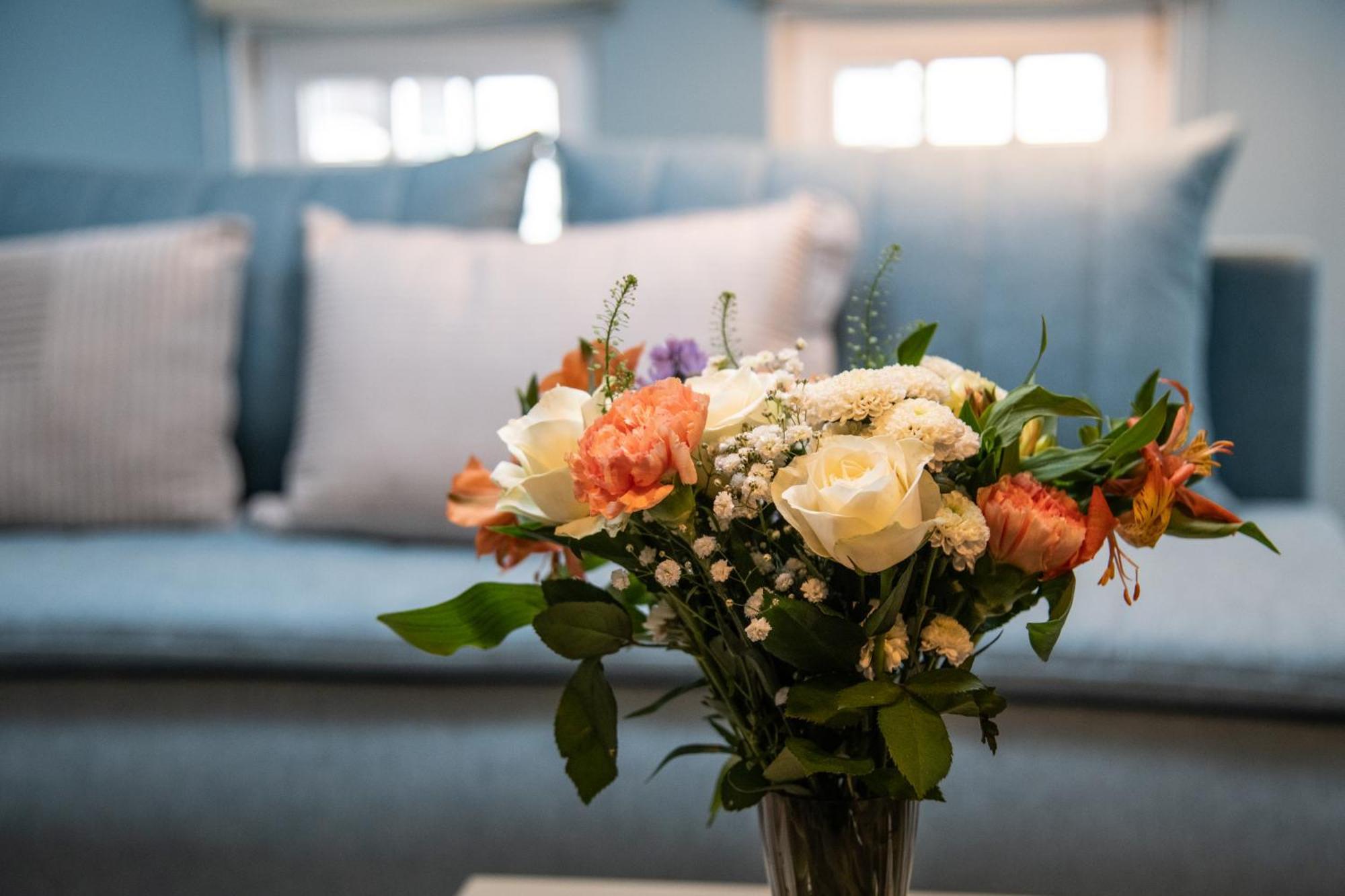 Schiller Meets Ostsee Apartment